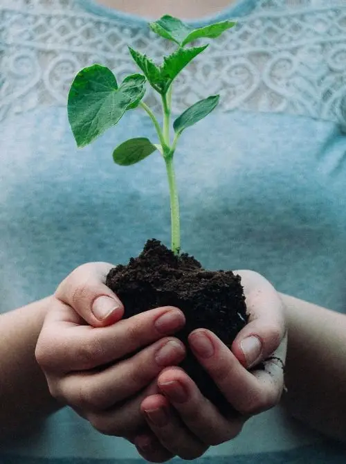 FOOTHOLD Partners - Quem somos